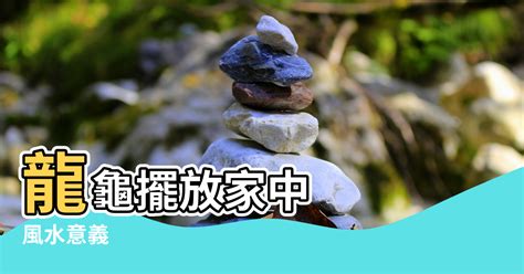 龍龜淨化|【龍龜淨化】龍龜淨化指南：破解擺放禁忌，提升財運和健康